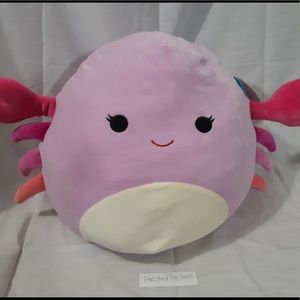 BNWT Cailey the Crab Squishmallow 16”